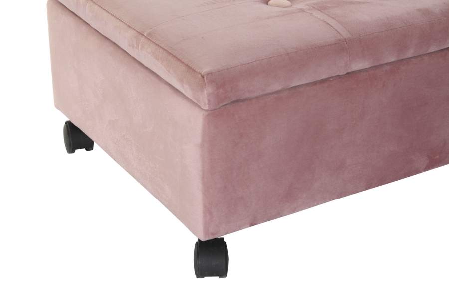 Descalzadora Poliester 70X39_5X24_5 Baul 2 Surt.