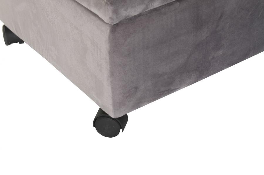 Descalzadora Poliester 70X39_5X24_5 Baul 2 Surt.
