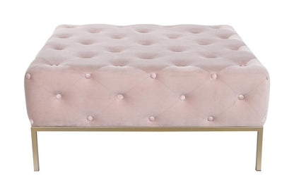 Descalzadora Poliester Metal 100X100X45 Capitone