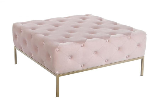 Descalzadora Poliester Metal 100X100X45 Capitone