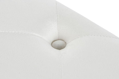 Descalzadora Poliester Metal 100X100X45 Capitone