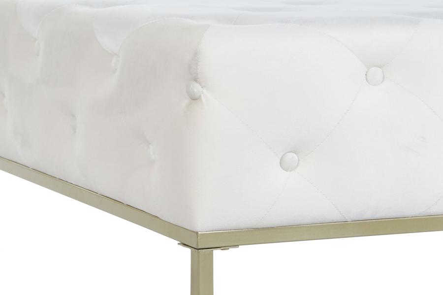 Descalzadora Poliester Metal 100X100X45 Capitone