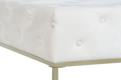Descalzadora Poliester Metal 100X100X45 Capitone