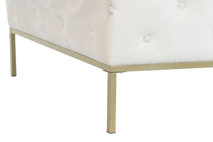 Descalzadora Poliester Metal 100X100X45 Capitone